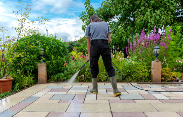 Best Parking Lot and Garage Cleaning  in El Jon, CA