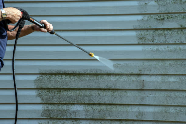 Best Dumpster Area Cleaning  in El Jon, CA