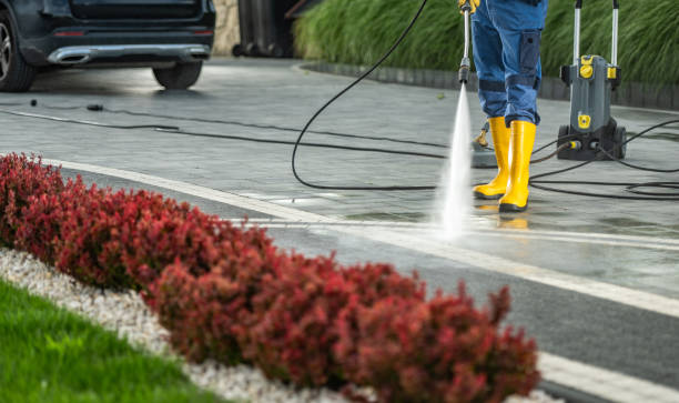 Best Restaurant Pressure Washing  in El Jon, CA